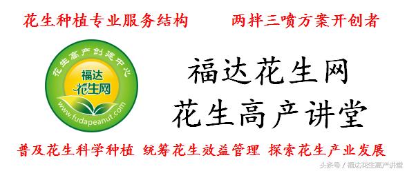 鑺辩敓鍝佺鑺辫偛963,鑺辩敓鍝佺鏈夊ぇ鏋滃拰灏忔灉