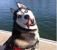 dnf李永第一魔道,dnf仇东升哪一届的世界冠军