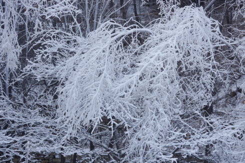 中原区有雪吗,中原雪乡在哪里