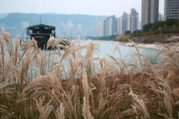 万州即将升级的公园,万州市内公园