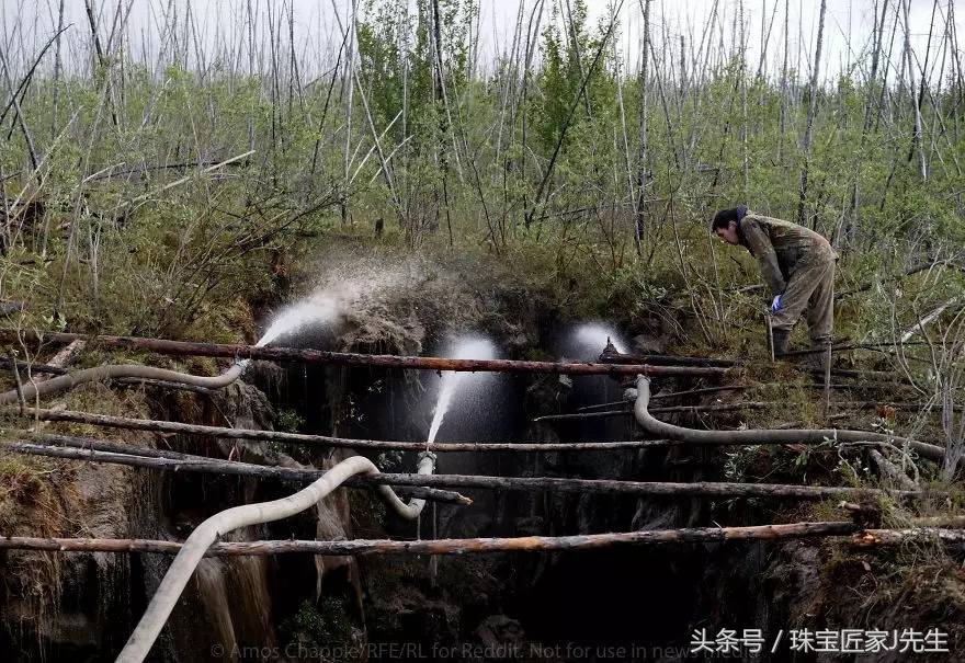 象牙禁令前收藏的象牙,哪一年开始禁象牙