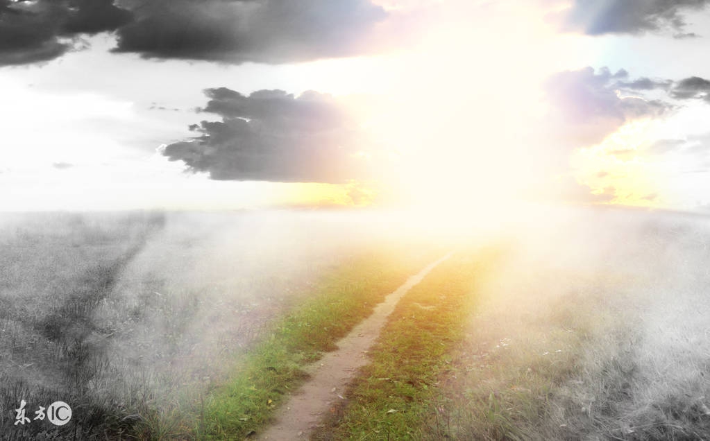 微商真的可以一夜暴富,微商为什么销声匿迹了