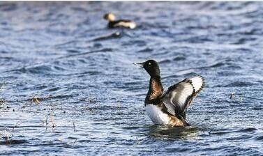 武汉12点：今起可购*春买**运火车票除夕火车票1月17日起售
