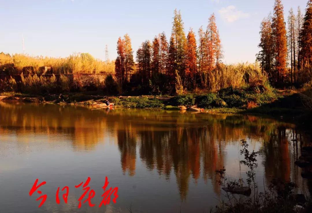 花都芙蓉嶂旅游景点,花都芙蓉嶂夜景