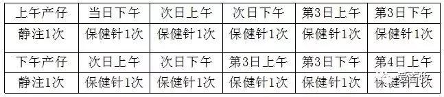 简述母猪分娩接产操作程序,如何进行母猪正常分娩的助产