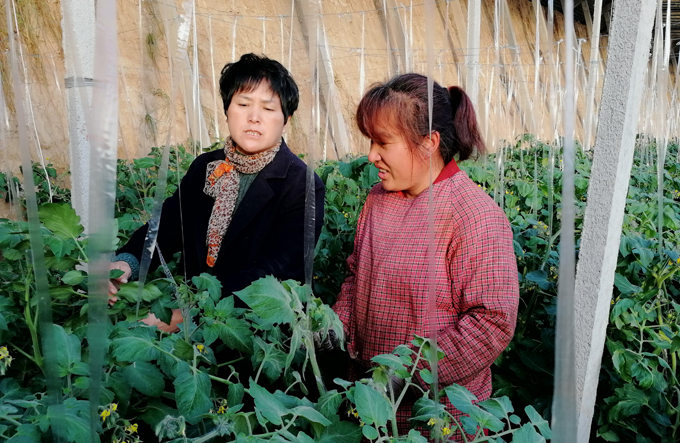 中国好人榜：聊城莘县孔春焕，她领着乡亲们挣大钱