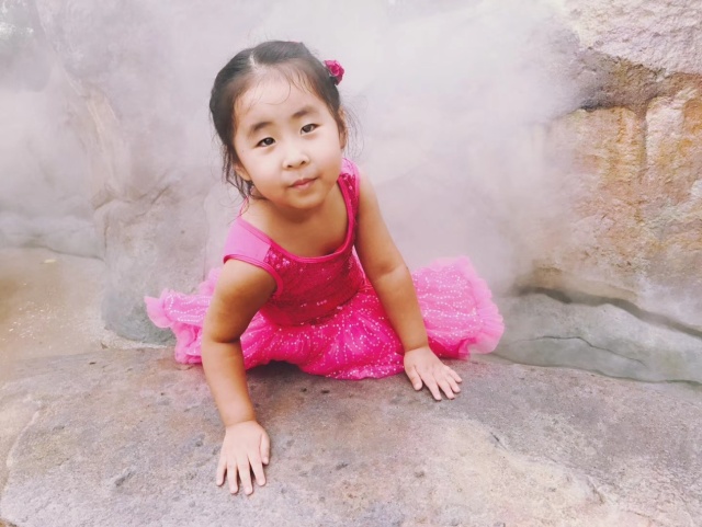 上海迪士尼吃住玩儿省钱攻略,上海迪士尼吃住行旅游攻略