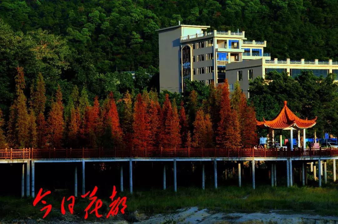 花都芙蓉嶂旅游景点,花都芙蓉嶂夜景