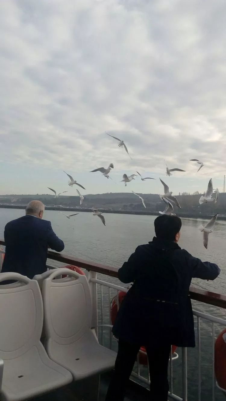 移民土耳其真实感受,土耳其移民的真实感受