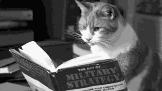 摩洛哥油经典护发精油,卡诗和摩洛哥发油哪个好