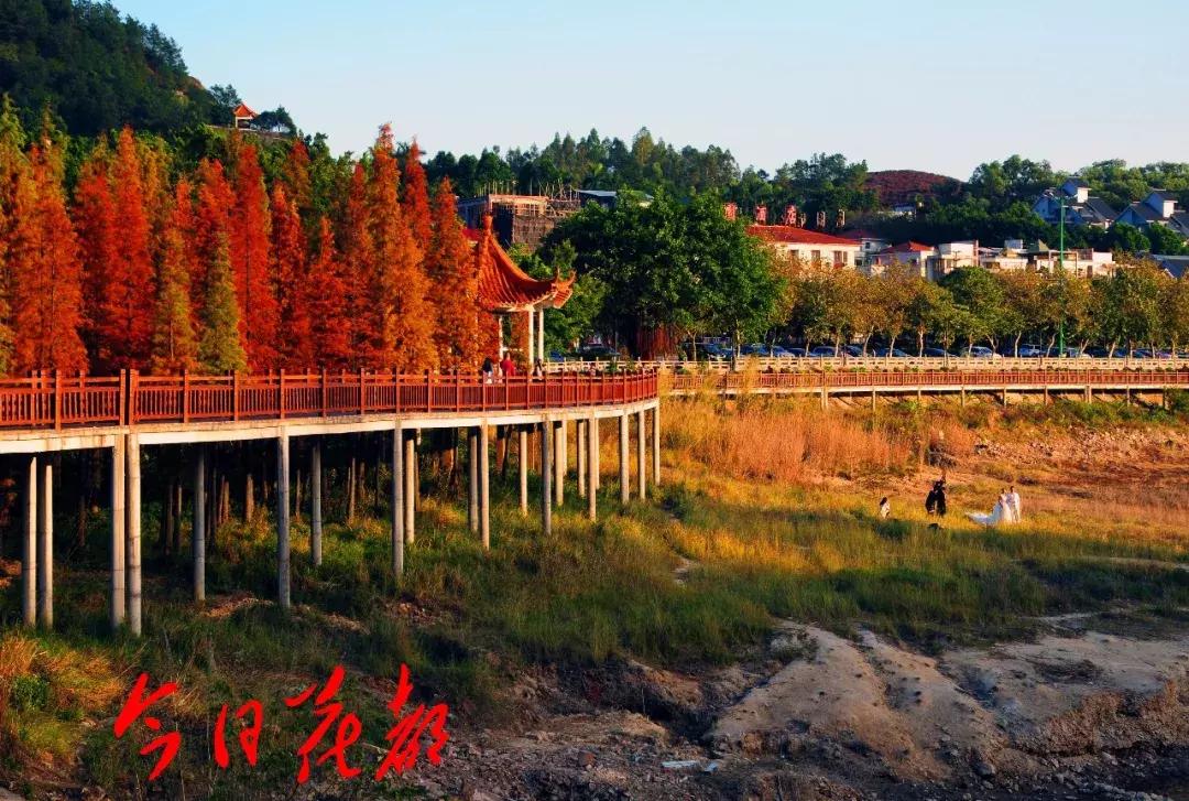 花都芙蓉嶂旅游景点,花都芙蓉嶂夜景