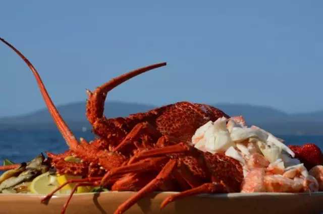 需要我来教你吗英文,你愿意请我吃生蚝吗