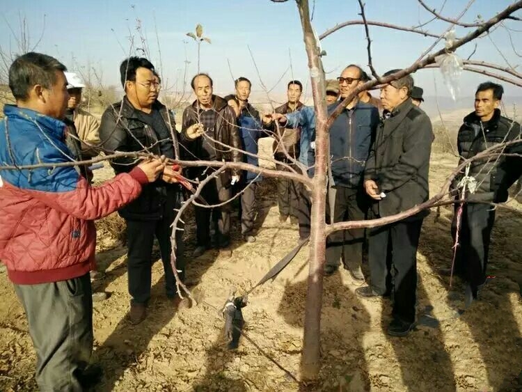 搴勬氮鍘块槼宸濋晣棰嗗鐝瓙,搴勬氮鍘块槼宸濋晣鍏氬涔﹁鏄皝