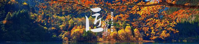 只羡仙市不羡仙，去这座千年古镇品古酒享盐帮美食