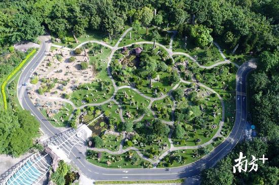 深圳新出好玩的地方,深圳市哪些公园比较值得去