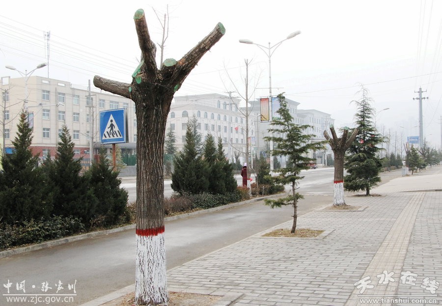 兰州张家川县城管,张家川回族自治县城管综合执法局