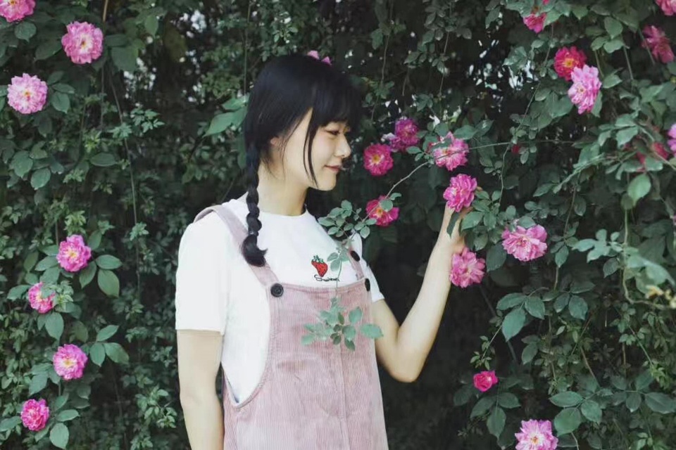 璞嗙摚鏃ヨ2016,璞嗙摚鐢靛奖鎴戠殑鏃ヨ