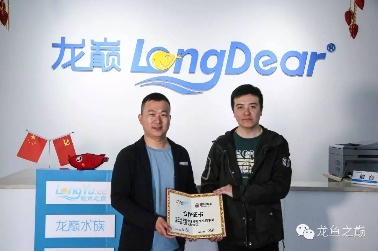 格池小绵羊造浪泵怎么样,格池小绵羊拆解