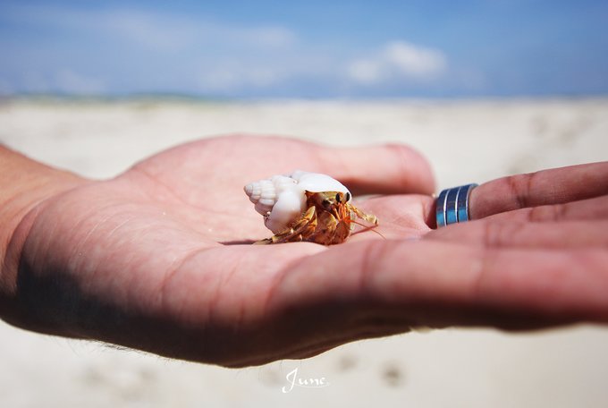 【一只熊的冒险】薄荷色夏日梦，马来西亚沙巴亚庇仙本那历险记——敦沙卡兰海洋公园（完）