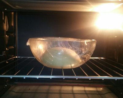 奶酪包,奶酪包与猫