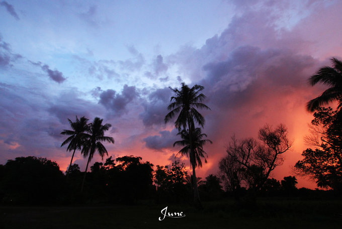 【一只熊的冒险】薄荷色夏日梦，马来西亚沙巴亚庇仙本那历险记——敦沙卡兰海洋公园（完）