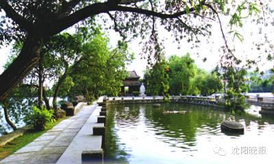 沈阳最漂亮的十大美人,沈阳女孩最漂亮的照片