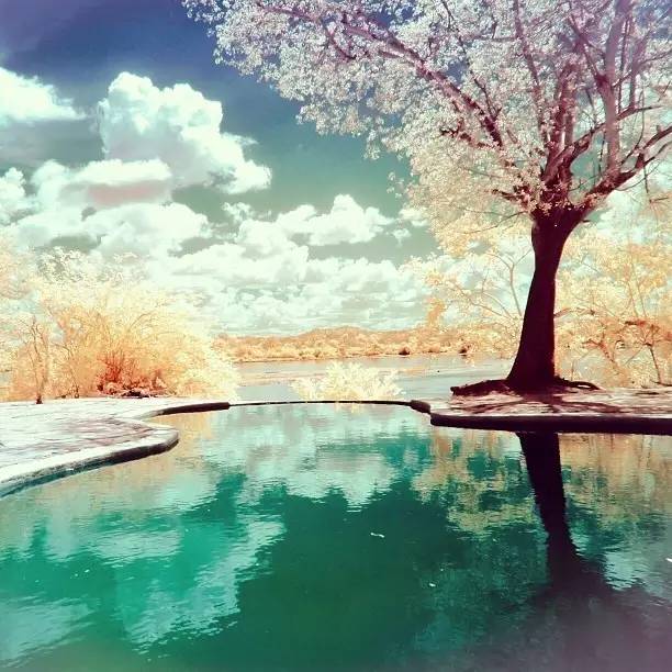 把你的心走过的路，说出来，就是诗啊