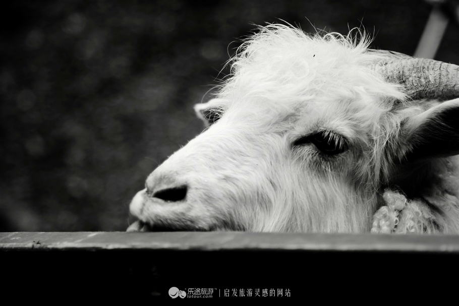 观澜湖简介,深圳观澜湖一整圈有几公里