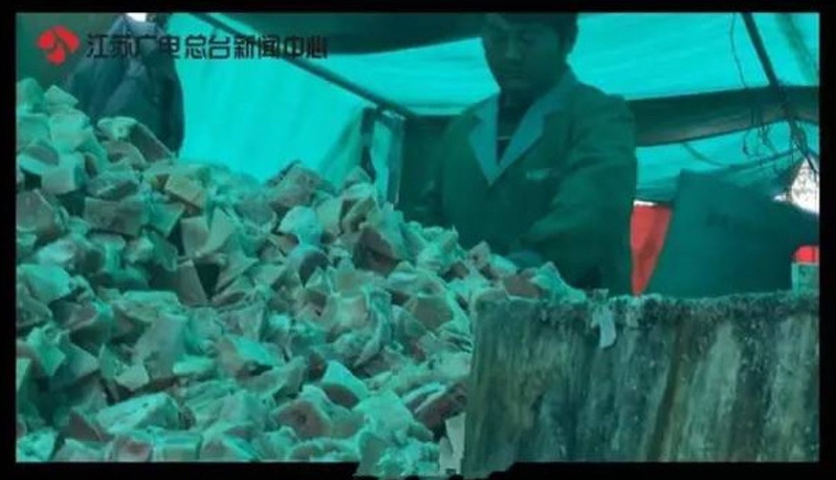 僵尸肉之谜,僵尸肉的来龙去脉