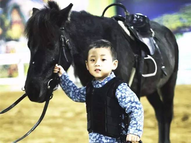 沈阳草原骑马去哪个地方好,离沈阳最近的草原骑马自驾游