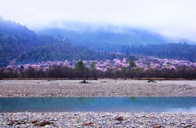 2018上半年，据说会玩的人都在合适的时间去这些美腻的地方了！