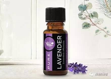 女性必备的精油排行榜前十名,女人三样必备品