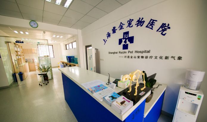 妙手仁心救我狗命锦旗,妙手仁心宠物医院