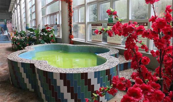 澶у崍鍋囨棩娓╂硥,鍥藉簡澶у崍娓╂硥