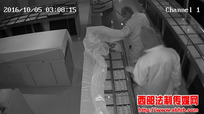 丹凤县最大诈骗案判了多少年,丹凤被骗案最新结果