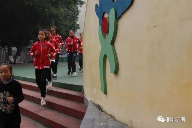 爱体育看体育赛,柳师附小运动会