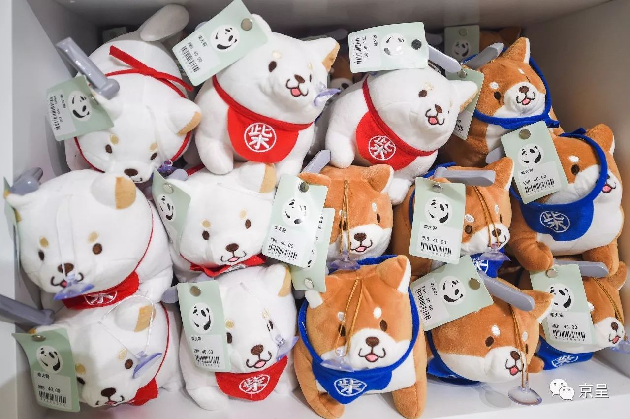 鹈鹕树懒食蚁兽？北京这家非主流玩偶店教你认认新萌物