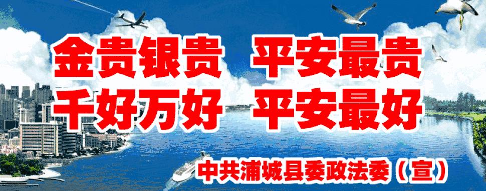 浦城县交警大队新闻,浦城肇事逃逸最新新闻