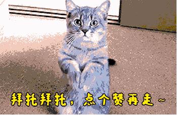 一场雪让风景美如画,一场雪景给城市带来美丽的风景