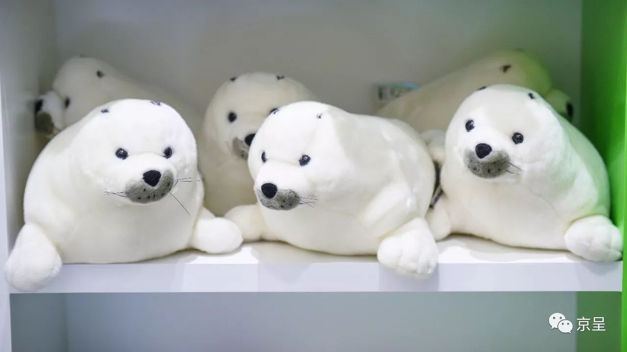 鹈鹕树懒食蚁兽？北京这家非主流玩偶店教你认认新萌物