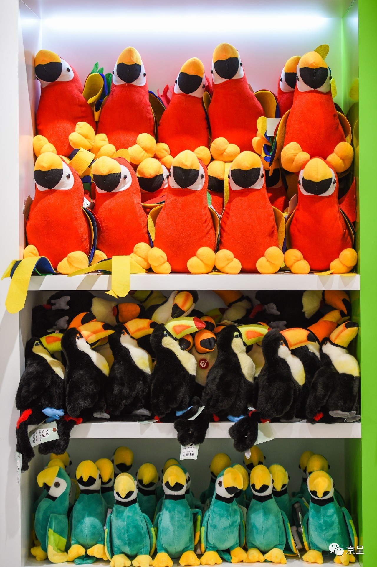 鹈鹕树懒食蚁兽？北京这家非主流玩偶店教你认认新萌物