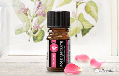 女人必备的三样化妆品,女人必备三大化妆品