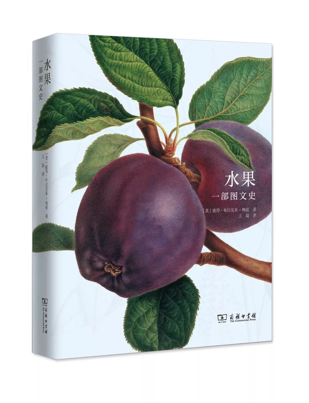 商务印书馆好书,商务印书馆十大经典书目