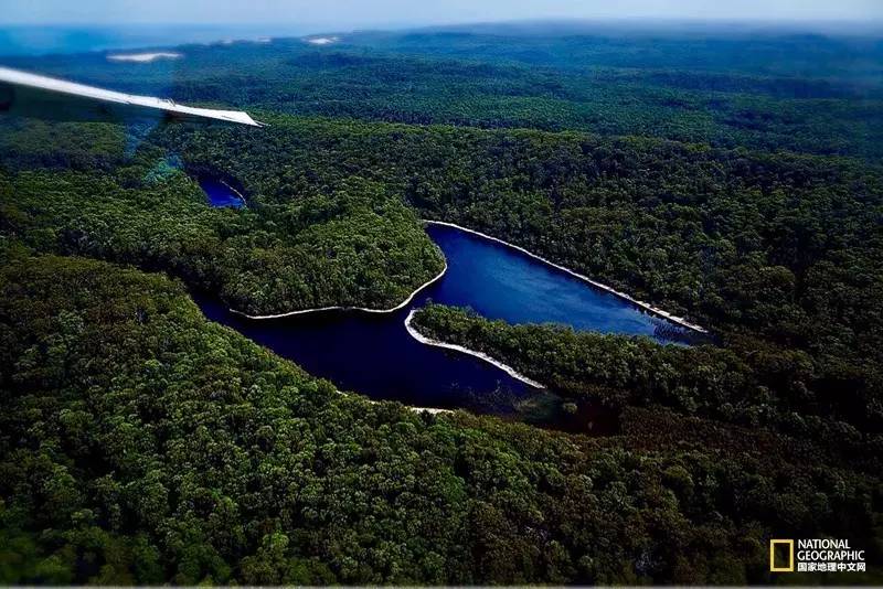 FraserIsland|快来全世界最大的沙岛上撒把野