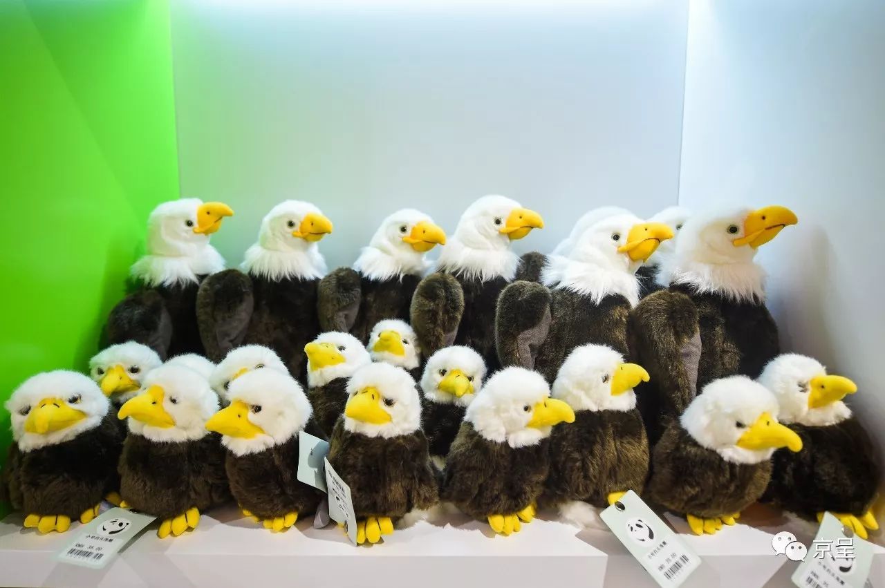 鹈鹕树懒食蚁兽？北京这家非主流玩偶店教你认认新萌物