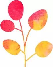 学习阳明先生心学感悟,知行合一阳明心学第11课