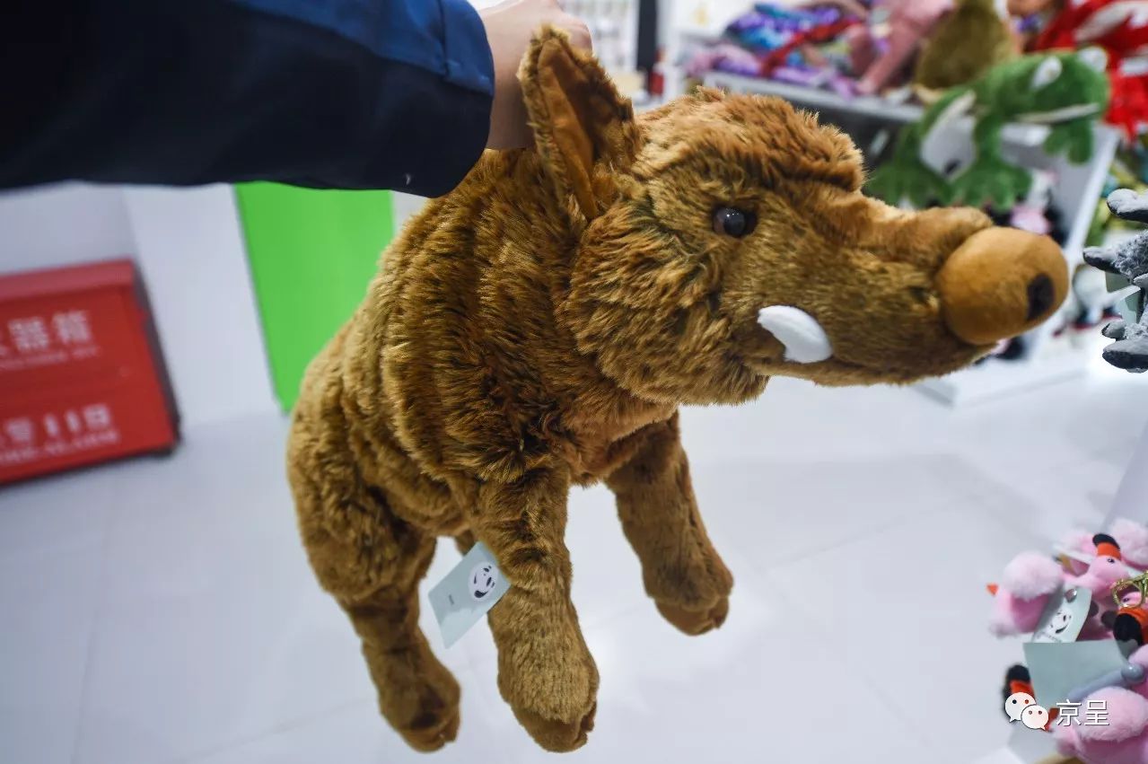 鹈鹕树懒食蚁兽？北京这家非主流玩偶店教你认认新萌物