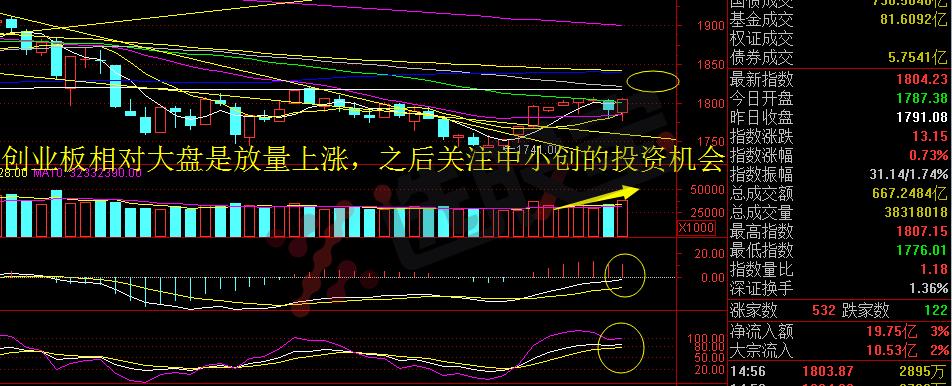 十全大补丸，新年新气象——骑牛看熊1月11日淘金收评