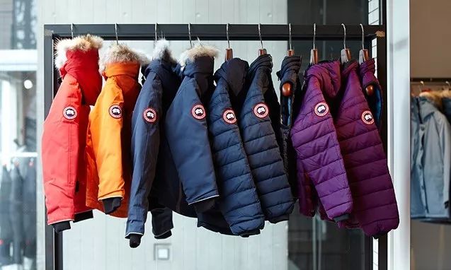 鎶勮鐨勬渶楂樺鐣屾湁澶氶珮,canadagoose