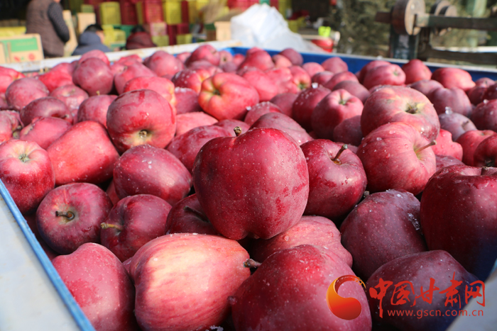 礼县电商苹果,礼县苹果走向世界